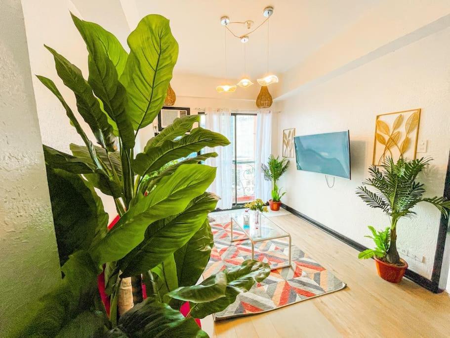 Lovely 2br Penthouse In Poblacion, Makati Apartment